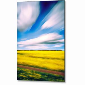 Rapeseed Field In Motion - English Landscape Metal Print