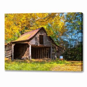 Rustic Barn - Autumn In Georgia Canvas Print