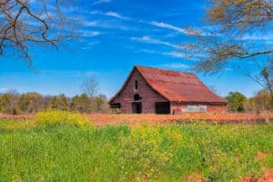Spring Farm Scene - Georgia Barn Art Print
