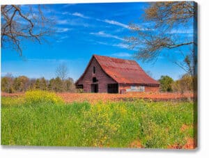 Spring Farm Scene - Georgia Barn Canvas Print