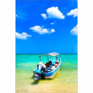 Tropical Boat On The Water - Gulf of Mexico Art Print