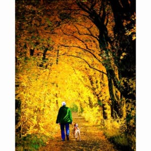 Walking The Dog - Autumn Art Print