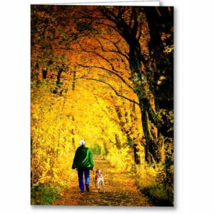 Walking The Dog - Autumn Greeting Card