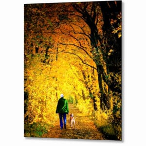 Walking The Dog - Autumn Metal Print