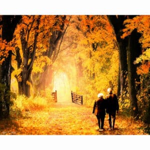 Woodland Path - Fall Foliage Art Print