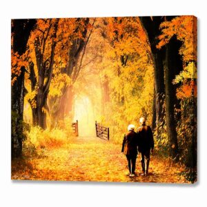 Woodland Path - Fall Foliage Canvas Print