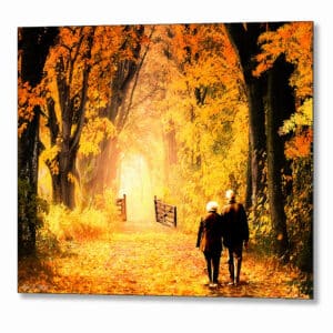 Woodland Path - Fall Foliage Metal Print